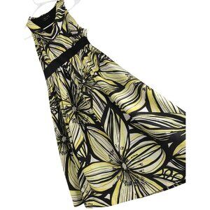 Max & Cleo Womens Sleeveless Silk Dress Size 2 Floral Pattern FDD10477